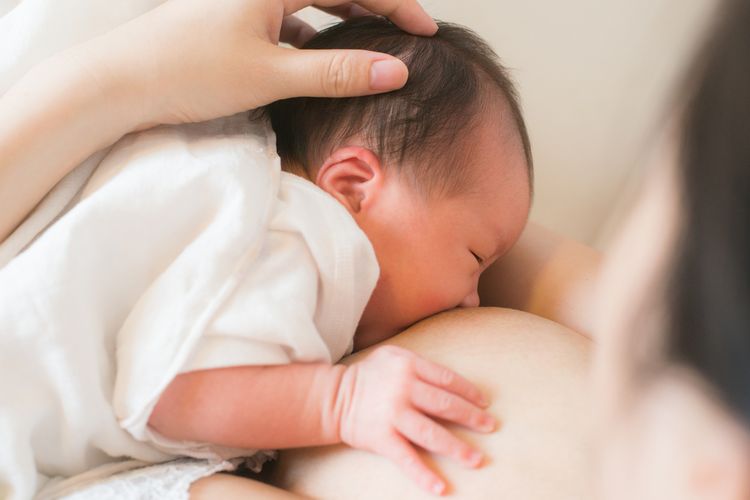 Susu Bayi: 3 Kunci Nutrisi Untuk Pertumbuhan Sehat Anak